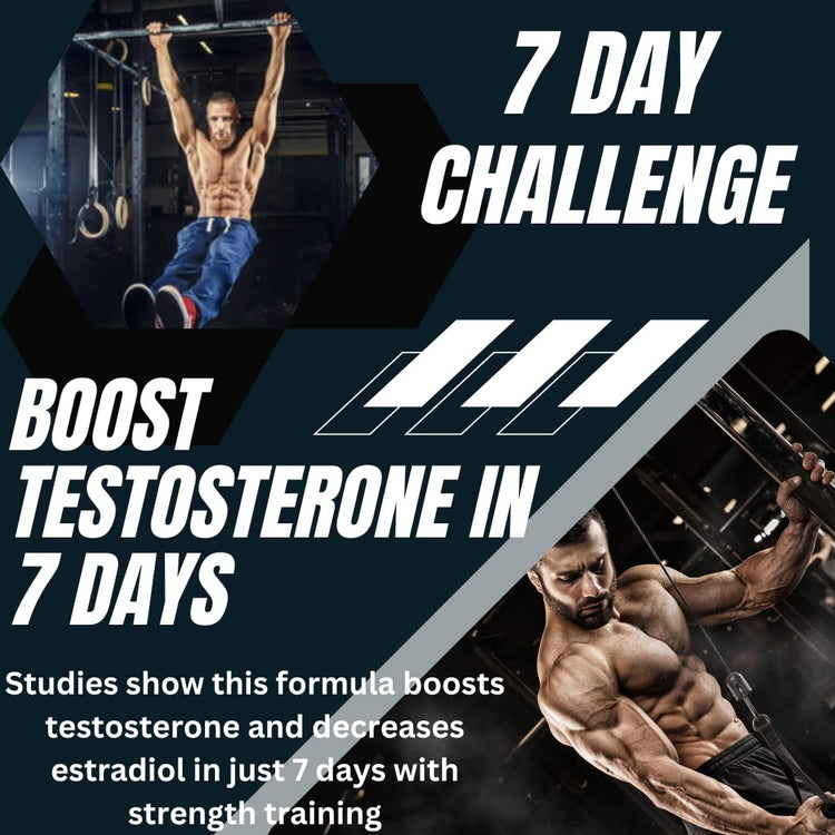 10X Testosterone Booster for Men - Lean Muscle, Energy & Strength Support with Tribulus, Tongkat Ali & Zinc - Testagra (2 Pack, 180 Capsules)