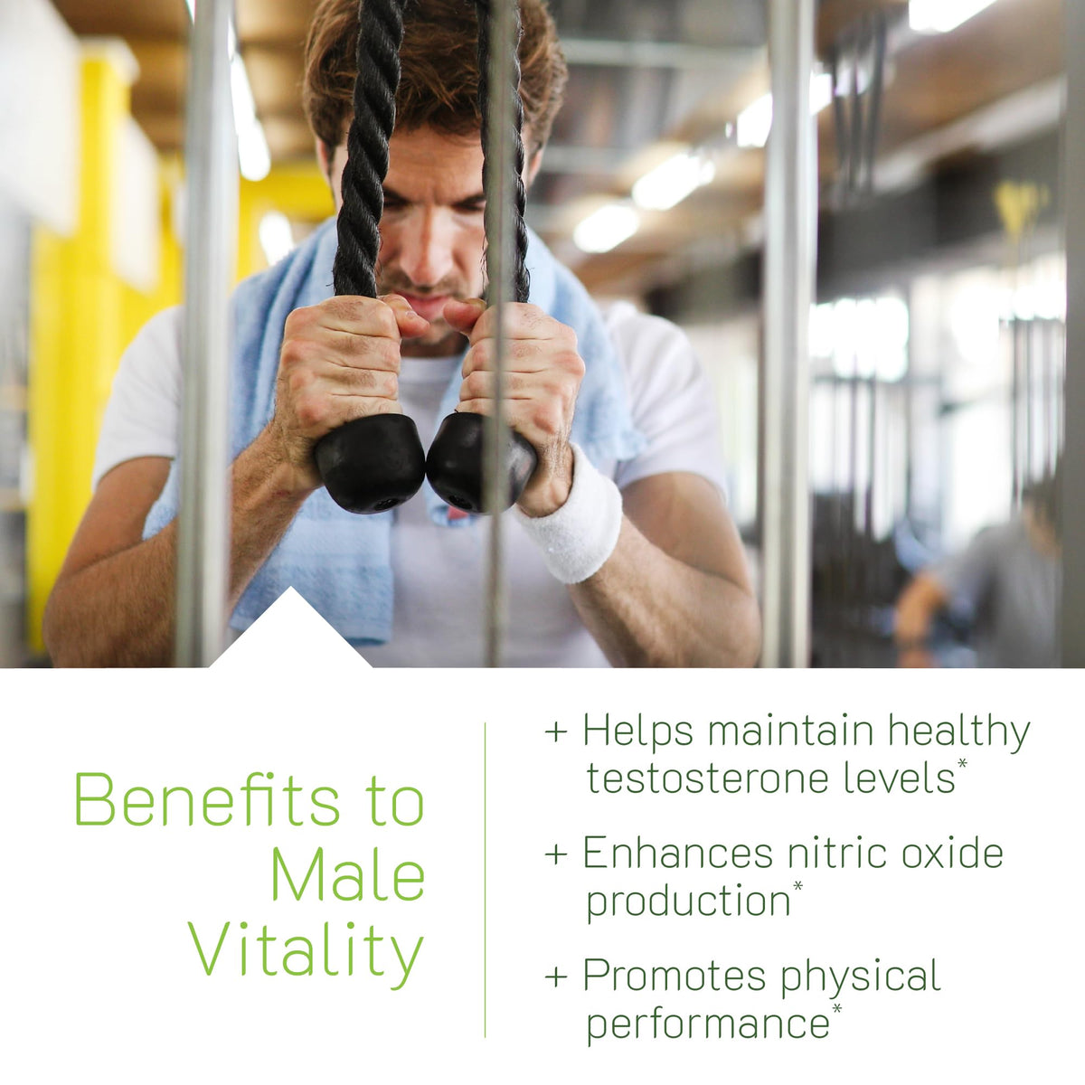 Testosterone Support for Men - Energy, Strength & Libido Formula with Herbal Blend - Irwin Naturals Testosterone Up Red (60 Softgels)
