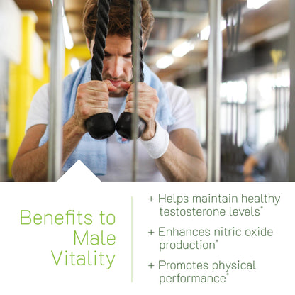 Testosterone Support for Men - Energy, Strength & Libido Formula with Herbal Blend - Irwin Naturals Testosterone Up Red (60 Softgels)