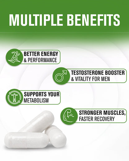 Natural Testosterone Booster for Men - Energy, Muscle Support & Metabolism Enhancement - Ginkgo Biloba, L-Arginine, Testofen, Zinc