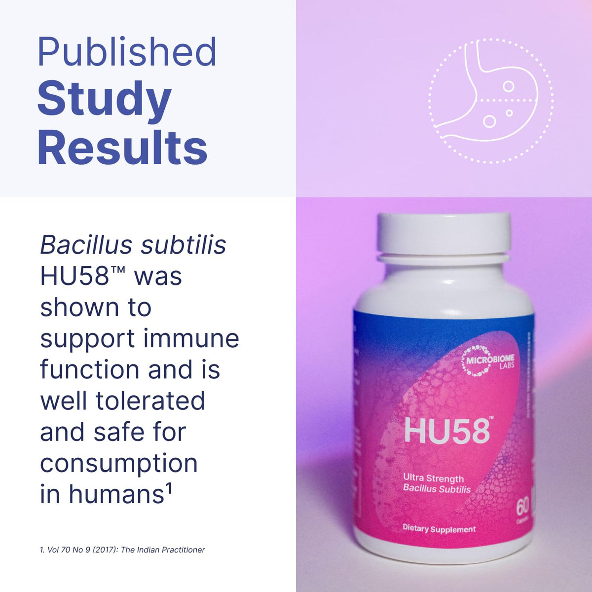 Microbiome Labs HU58 Bacillus Subtilis Probiotics for Women and Men - High Potency Spore Probiotic for Digestive Health & Immune Support - Daily Capsules with 10 Billion CFU (60 Capsules)