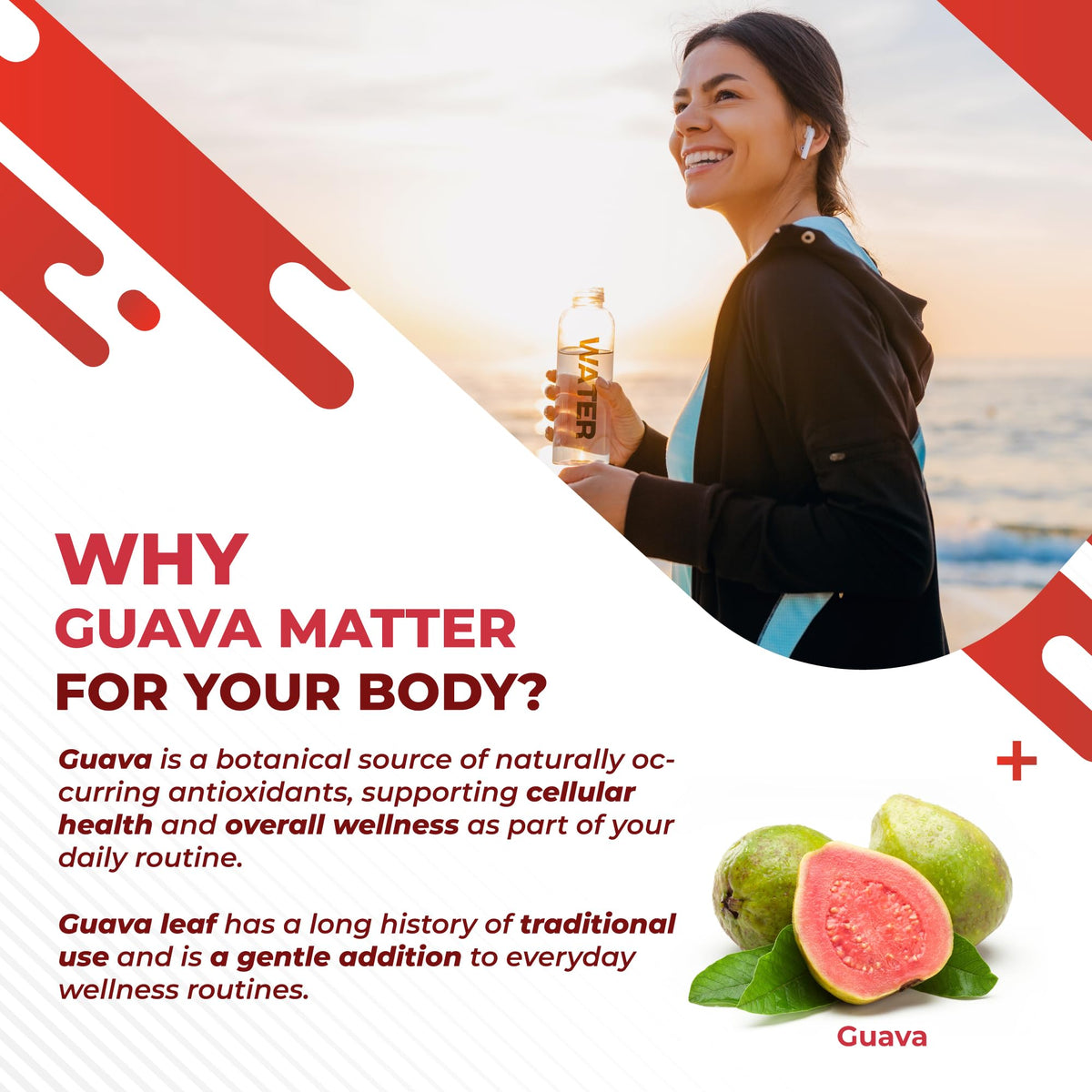 NURAFUSE Guava Extract & Bitter Melon Supplement - Metabolism & Digestive Support with Ginger, Cinnamon & Gymnema - 150 Capsules