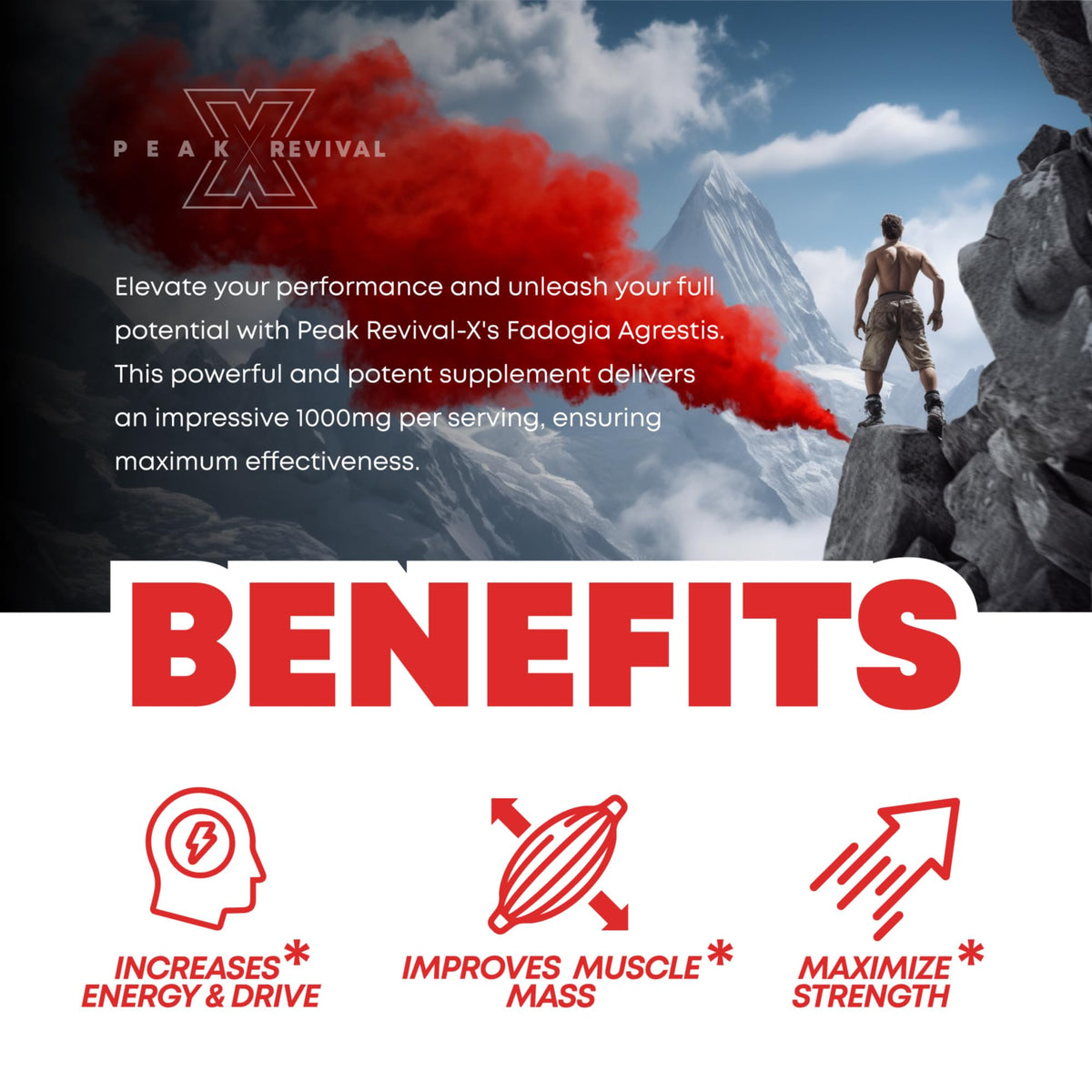 Testosterone Booster for Men - Fadogia Agrestis 1000mg - Energy, Muscle Growth & Natural Testosterone Support Supplement (60 Capsules)