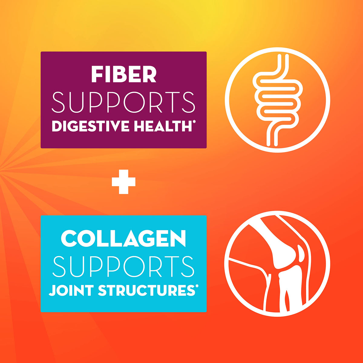 Metamucil Daily Fiber + Collagen,Psyllium Husk Powder,Plant Based Fiber Supplement,Sugar-Free with Stevia,3-in-1-Fiber Supplement for Digestive Health,Orange Flavored,90 Doses,(Pack of 2)