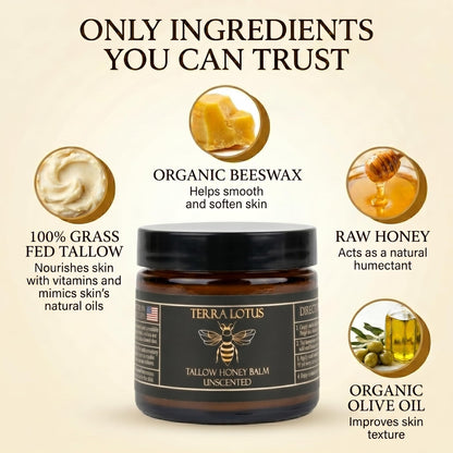 Terra Lotus - Organic Grass-Fed Beef Tallow Balm with Raw Honey - Moisturizing Cream for Soft, Smooth Skin - Handmade All-Natural Moisturizer (2 Oz, Lavender)