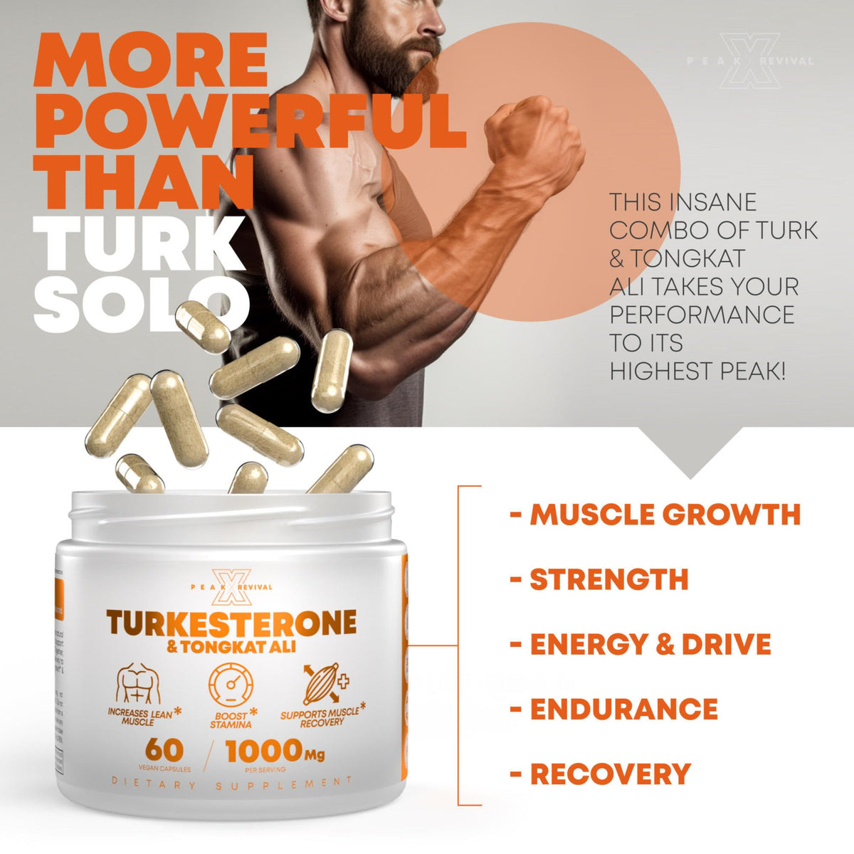 Turkesterone & Tongkat Ali Supplement for Men - Muscle Growth, Strength & Recovery Support - 500mg Ajuga + 250mg Longjack (60 Capsules)
