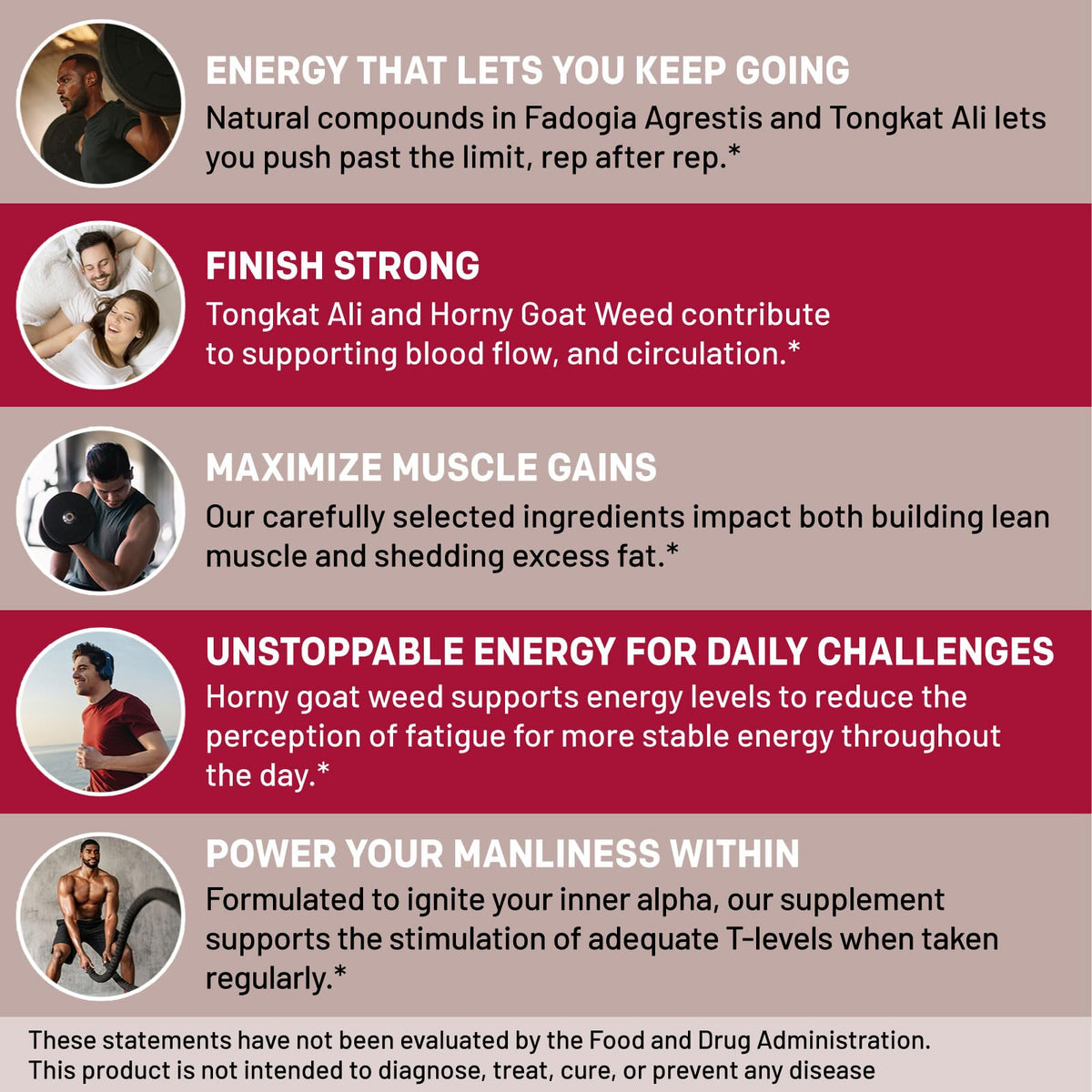 12-in-1 Testosterone Booster for Men - Fadogia Agrestis, Tongkat Ali & Turkesterone - Energy, Muscle & Libido Support - 1342mg Vegan Capsules