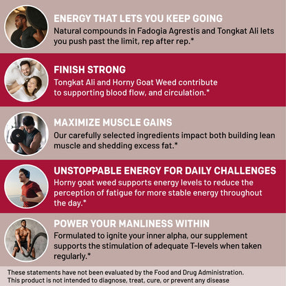 12-in-1 Testosterone Booster for Men - Fadogia Agrestis, Tongkat Ali & Turkesterone - Energy, Muscle & Libido Support - 1342mg Vegan Capsules