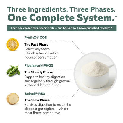 Phase Fiber Prebiotic Powder for Complete Gut & Digestion Support, Low FODMAP Certified Ingredients, Triple Phase Fermentation, Clinically Studied for Sensitive Digestion, Vegan (30 Servings)