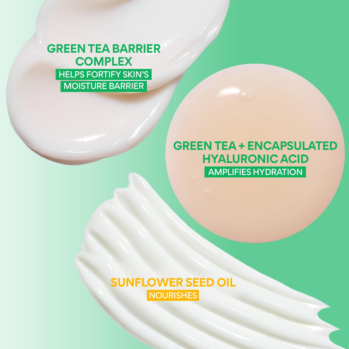 Innisfree Holiday Hydrate and Protect Set: Daily UV Sunscreen Full Size