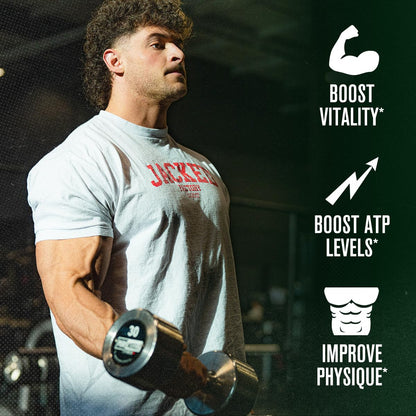 Testosterone Booster for Men - Tongkat Ali, Shilajit & Ashwagandha - Energy, Vitality & Muscle Growth Support Supplement - Jacked Factory PRIMASURGE (60 Veg Capsules)