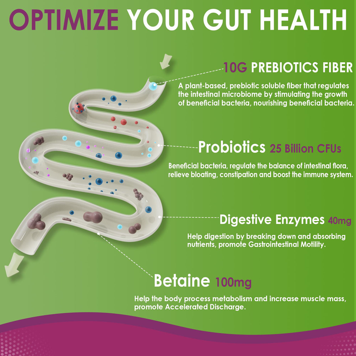 Fiber Gummies for Adults, GLP-1 Friendly 10g Prebiotic Fiber Supplement w/ Digestive Enzymes, Probiotics & 100mg Betaine for Digestive & Gut Health and Regulate Bowel Movement, Vegan, Sugar Free,60ct
