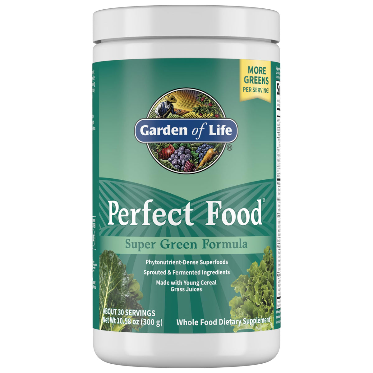 Garden of Life Perfect Food Original Super Green Formula - 30 Servings - 45 Superfoods, Greens, Sprouts plus HSO Probiotics, Enzymes & Ionic Plant Based Minerals - Juiced Superfood Powder Supplement