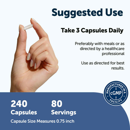 Micro Ingredients Psyllium Husk Fiber Capsules 5-in-1, 240 Vegetarian Capsules - Soluble Fiber Supplement for Digestive Support* - Probiotics, Prebiotics, Postbiotics & Digestive Enzymes - Non-GMO
