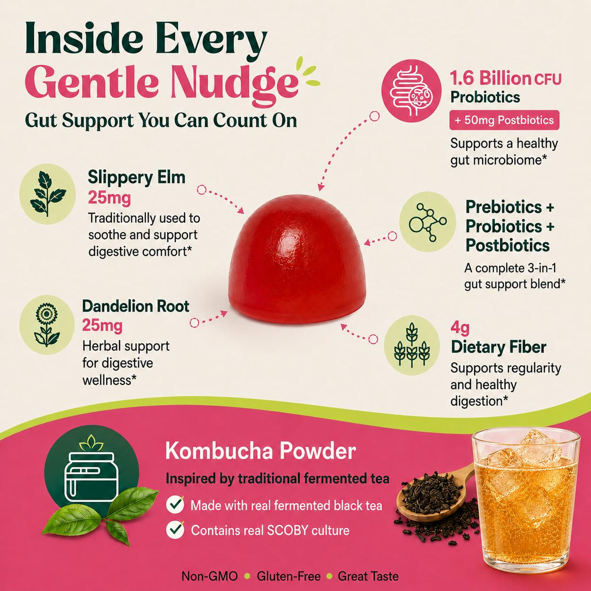 Probiotic Kombucha Fiber Gummies, Prebiotics & Probiotics Digestive Supplement for Bloating, Gut Health, Digestive Balance & Daily Regularity - for Women and Men, Vegan Raspberry Flavor, 120 Count