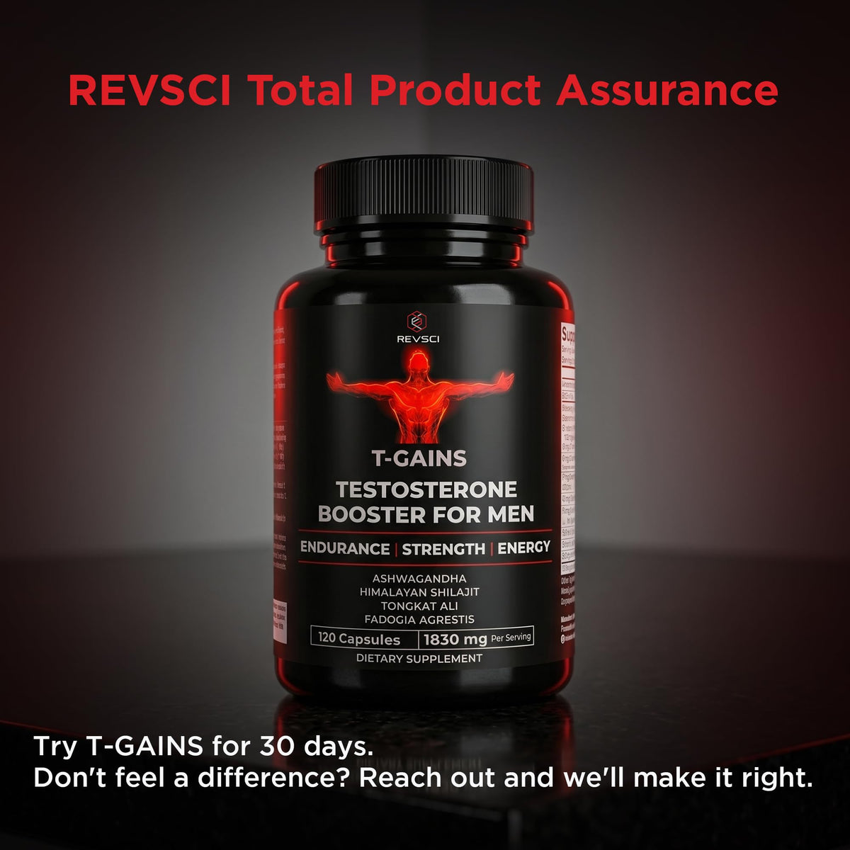 Testosterone Booster for Men - Muscle Growth, Strength, Energy & Endurance Support with Estrogen Control - T-GAINS (120 Capsules)