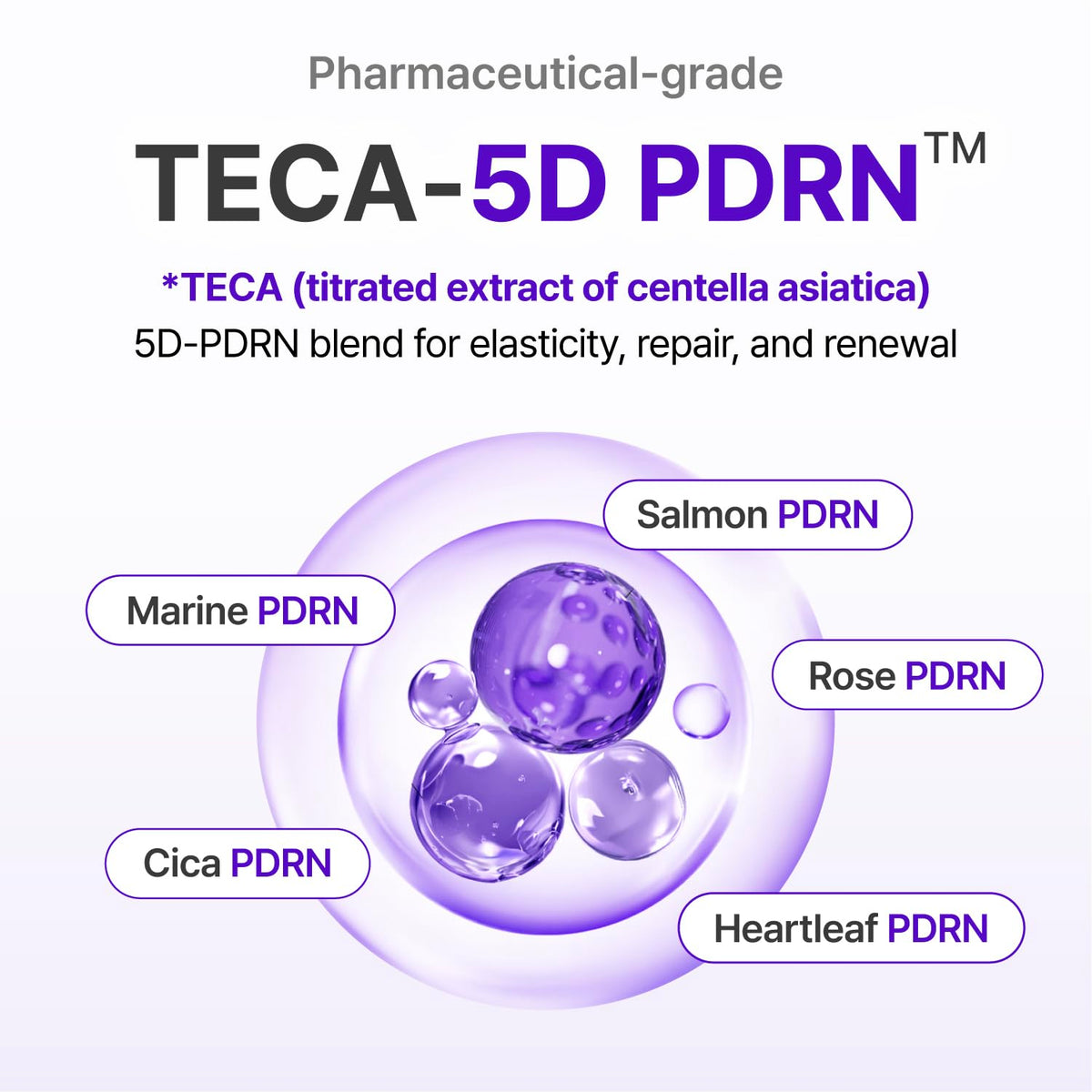 CENTELLIAN 24 Expert Madeca Cream Active Renew PDRN (Firming Cream, 1.69 fl oz) - Elasticity, Soothing & Hydrating Face Moisturizer with TECA-PDRN, Hyaluronic Acid & Glutathione, Korean Skin Care