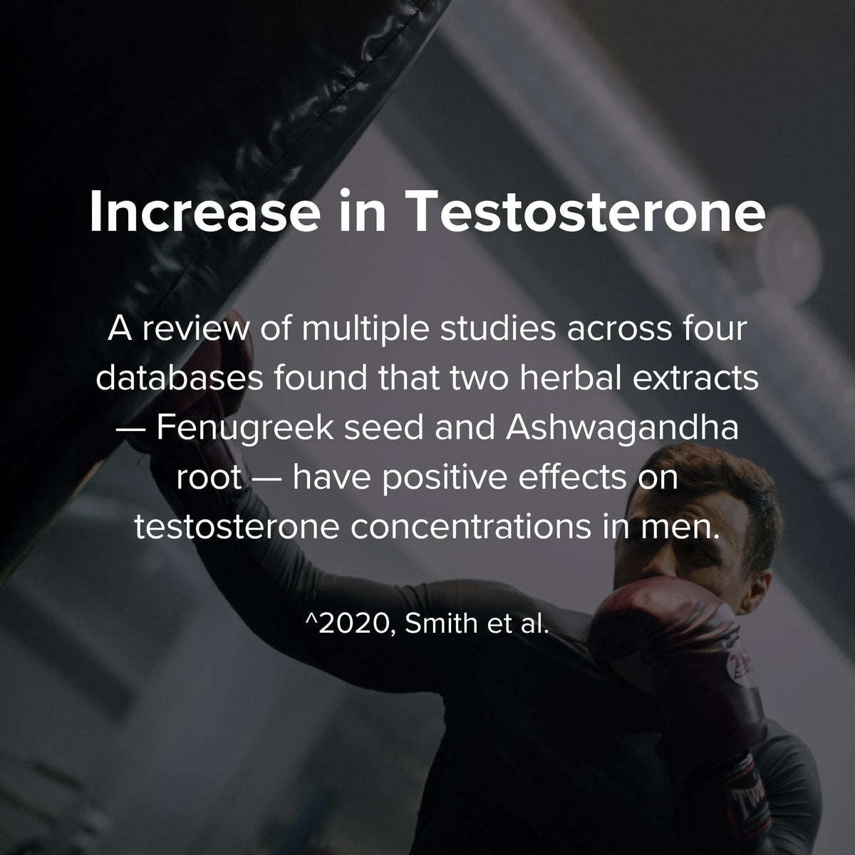 STRIVLABS Peak Potential 12-in-1 Testosterone Support for Men - with Fenugreek, Ashwagandha & Tongkat Ali - Strength, Energy & Muscle Builder (90 Capsules)