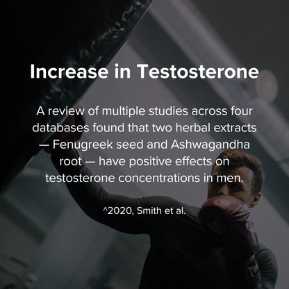 STRIVLABS Peak Potential 12-in-1 Testosterone Support for Men - with Fenugreek, Ashwagandha & Tongkat Ali - Strength, Energy & Muscle Builder (90 Capsules)