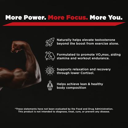 Testosterone Support for Men - Energy, Strength & Muscle Health Formula with KSM-66 Ashwagandha & Fenugreek - Testosil (120 Capsules)