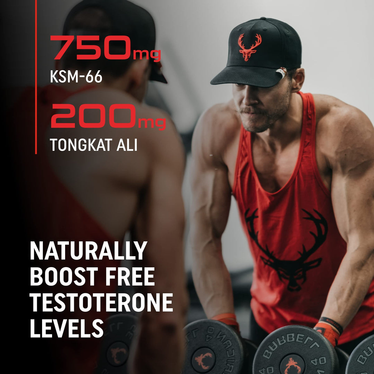 Testosterone Booster for Men - Energy, Strength, Endurance & Muscle Support Supplement - Bucked Up RUT (90 Capsules)
