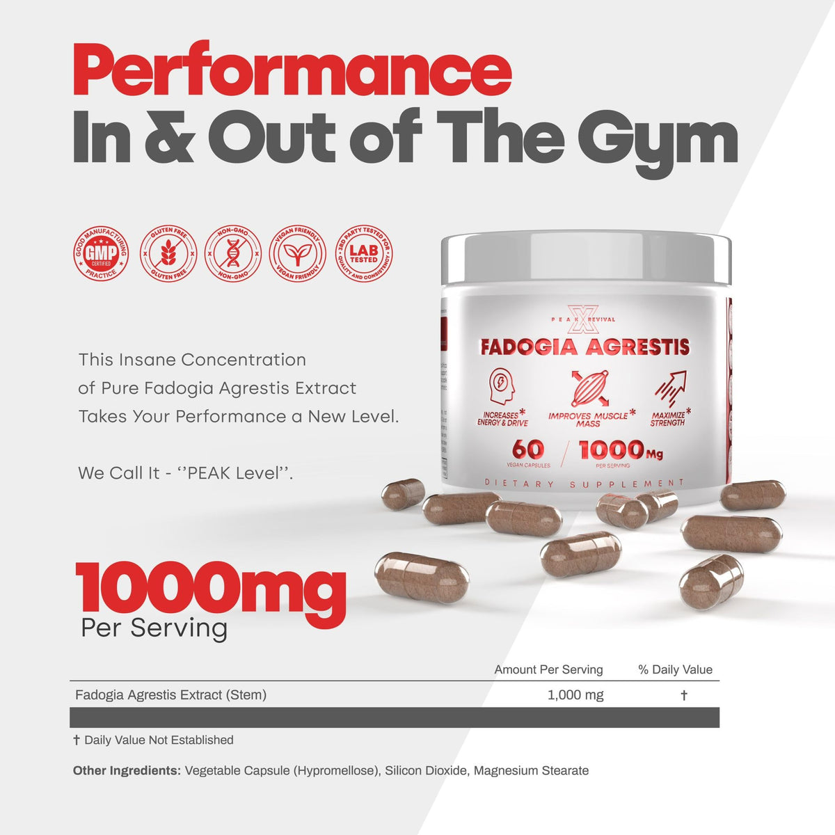 Testosterone Booster for Men - Fadogia Agrestis 1000mg - Energy, Muscle Growth & Natural Testosterone Support Supplement (60 Capsules)