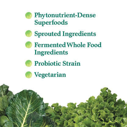 Garden of Life Perfect Food Original Super Green Formula - 30 Servings - 45 Superfoods, Greens, Sprouts plus HSO Probiotics, Enzymes & Ionic Plant Based Minerals - Juiced Superfood Powder Supplement