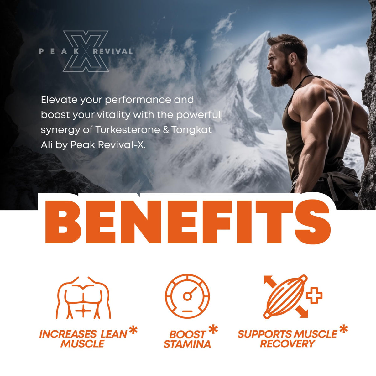 Turkesterone & Tongkat Ali Supplement for Men - Muscle Growth, Strength & Recovery Support - 500mg Ajuga + 250mg Longjack (60 Capsules)