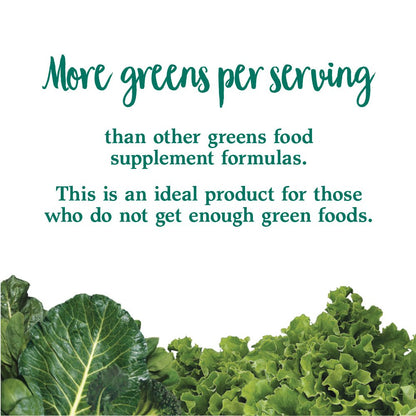 Garden of Life Perfect Food Original Super Green Formula - 30 Servings - 45 Superfoods, Greens, Sprouts plus HSO Probiotics, Enzymes & Ionic Plant Based Minerals - Juiced Superfood Powder Supplement