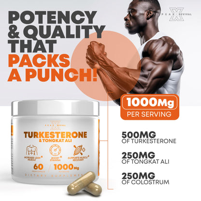 Turkesterone & Tongkat Ali Supplement for Men - Muscle Growth, Strength & Recovery Support - 500mg Ajuga + 250mg Longjack (60 Capsules)