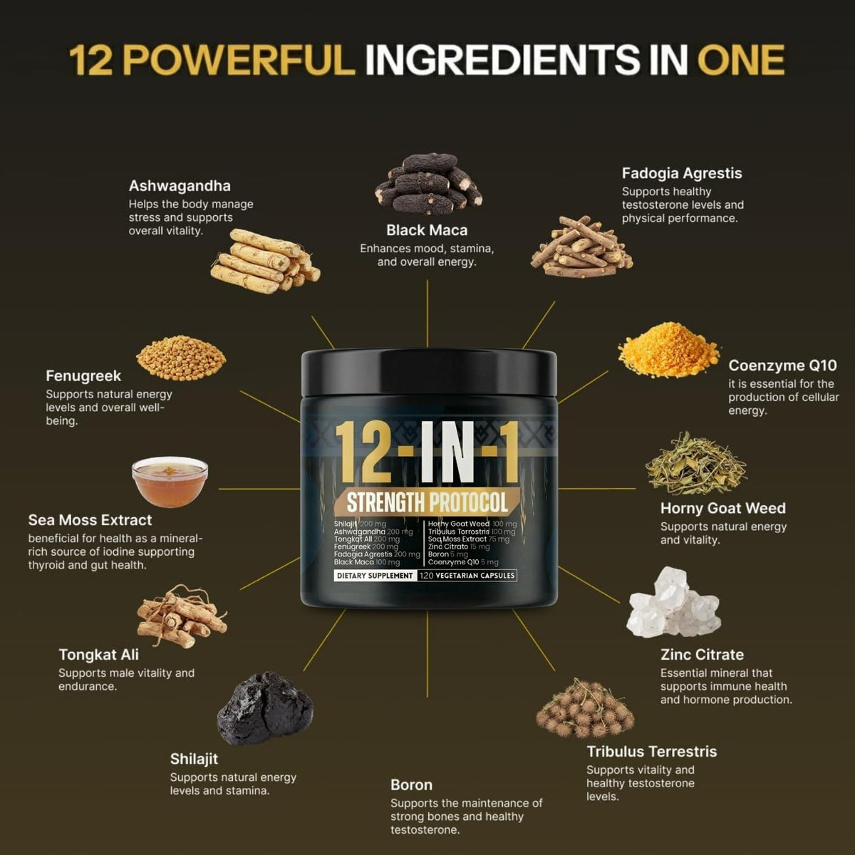 Body C.E.O. 12-in-1 Strength Protocol Testosterone Booster for Men with Shilajit - Ashwagandha, Tongkat Ali & Zinc - Energy, Strength & Vitality Support (120 Capsules)