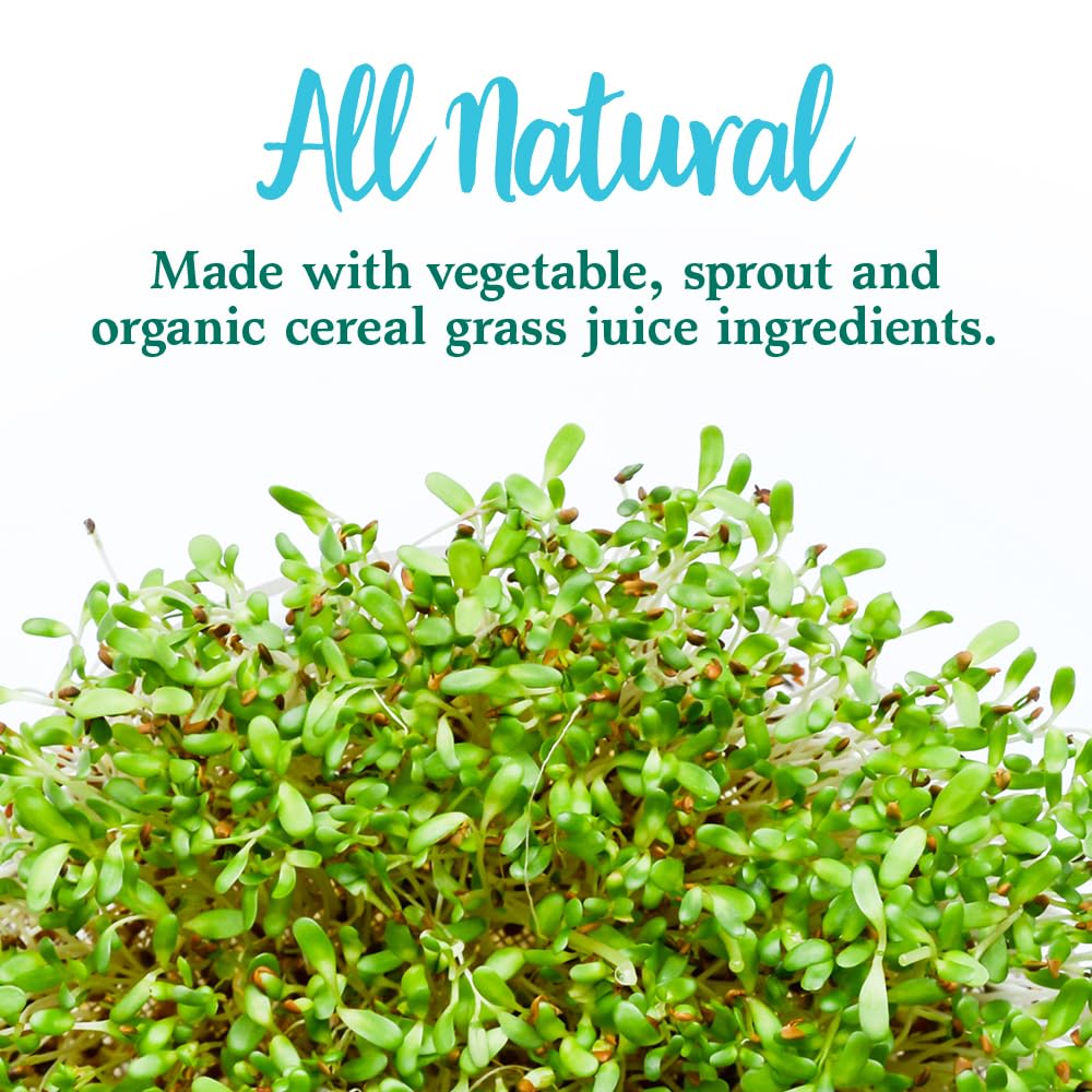 Garden of Life Perfect Food Original Super Green Formula - 30 Servings - 45 Superfoods, Greens, Sprouts plus HSO Probiotics, Enzymes & Ionic Plant Based Minerals - Juiced Superfood Powder Supplement
