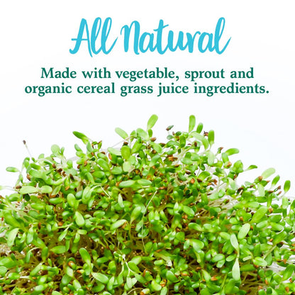 Garden of Life Perfect Food Original Super Green Formula - 30 Servings - 45 Superfoods, Greens, Sprouts plus HSO Probiotics, Enzymes & Ionic Plant Based Minerals - Juiced Superfood Powder Supplement