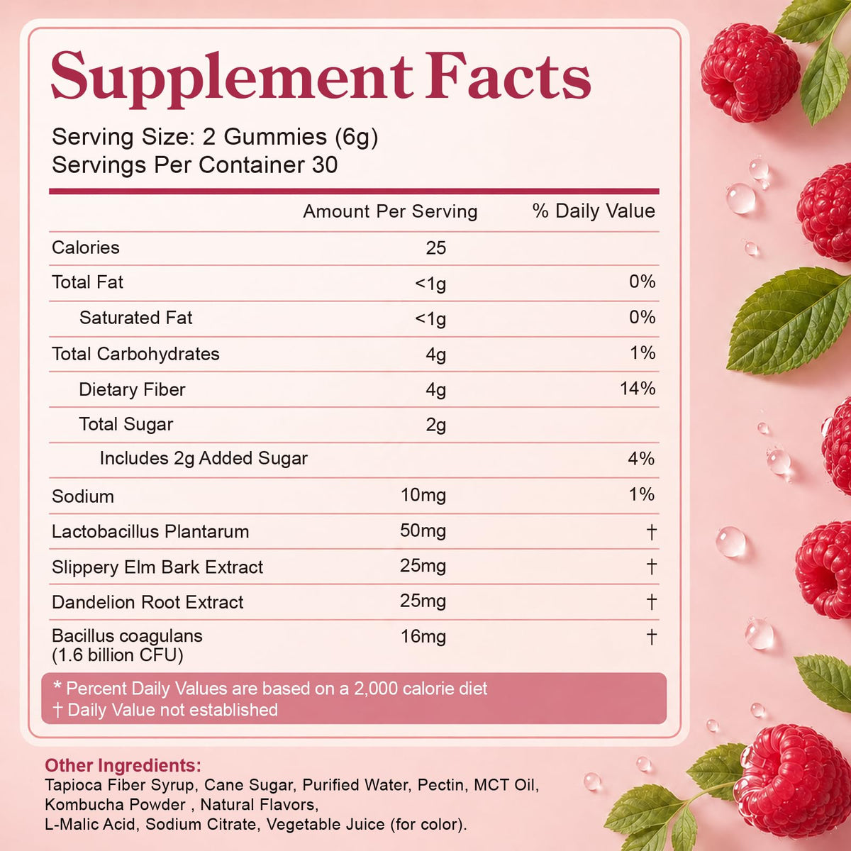 Probiotic Kombucha Fiber Gummies, Prebiotics & Probiotics Digestive Supplement for Bloating, Gut Health, Digestive Balance & Daily Regularity - for Women and Men, Vegan Raspberry Flavor, 120 Count
