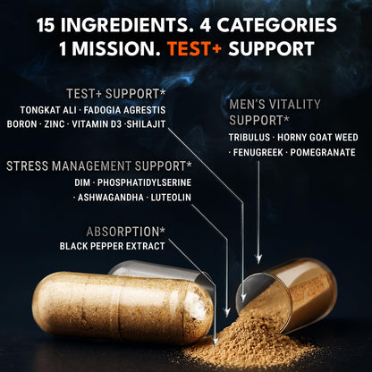 IRONCLAD NUTRITION Advanced Testosterone Supplement for Men - 15-in-1 Natural Complex with Tongkat Ali, Ashwagandha & Shilajit - Energy, Vitality & Strength (120 Capsules)