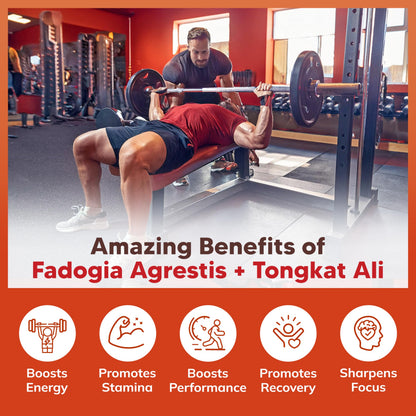 Fadogia Agrestis 1000mg & Tongkat Ali 400mg Capsules - Men's Testosterone Support Supplement - aSquared Nutrition 120 Capsules