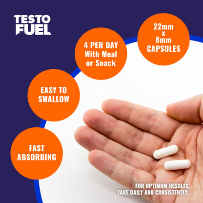 Testosterone Booster for Men - Natural T-Boost Supplement for Muscle, Energy & Performance with Fenugreek & Magnesium - ROAR AMBITION TestoFuel (120 Pills)