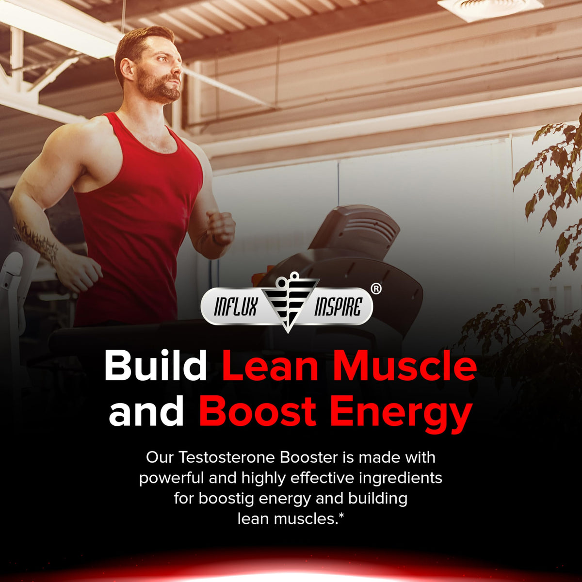 Testosterone Booster for Men - Muscle Growth, Strength, Stamina & Energy Support with Fast-Acting Performance Formula - 60 Capsules (3rd Party Tested)