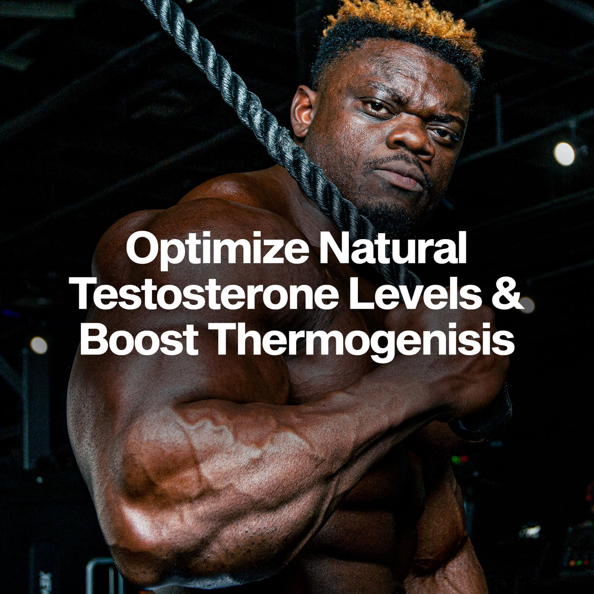 Thermogenic Testosterone Booster for Men - Muscle Growth, Energy & Stamina Support with Tribulus - MuscleTech AlphaTest Thermo (90 Pills)