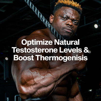 Thermogenic Testosterone Booster for Men - Muscle Growth, Energy & Stamina Support with Tribulus - MuscleTech AlphaTest Thermo (90 Pills)