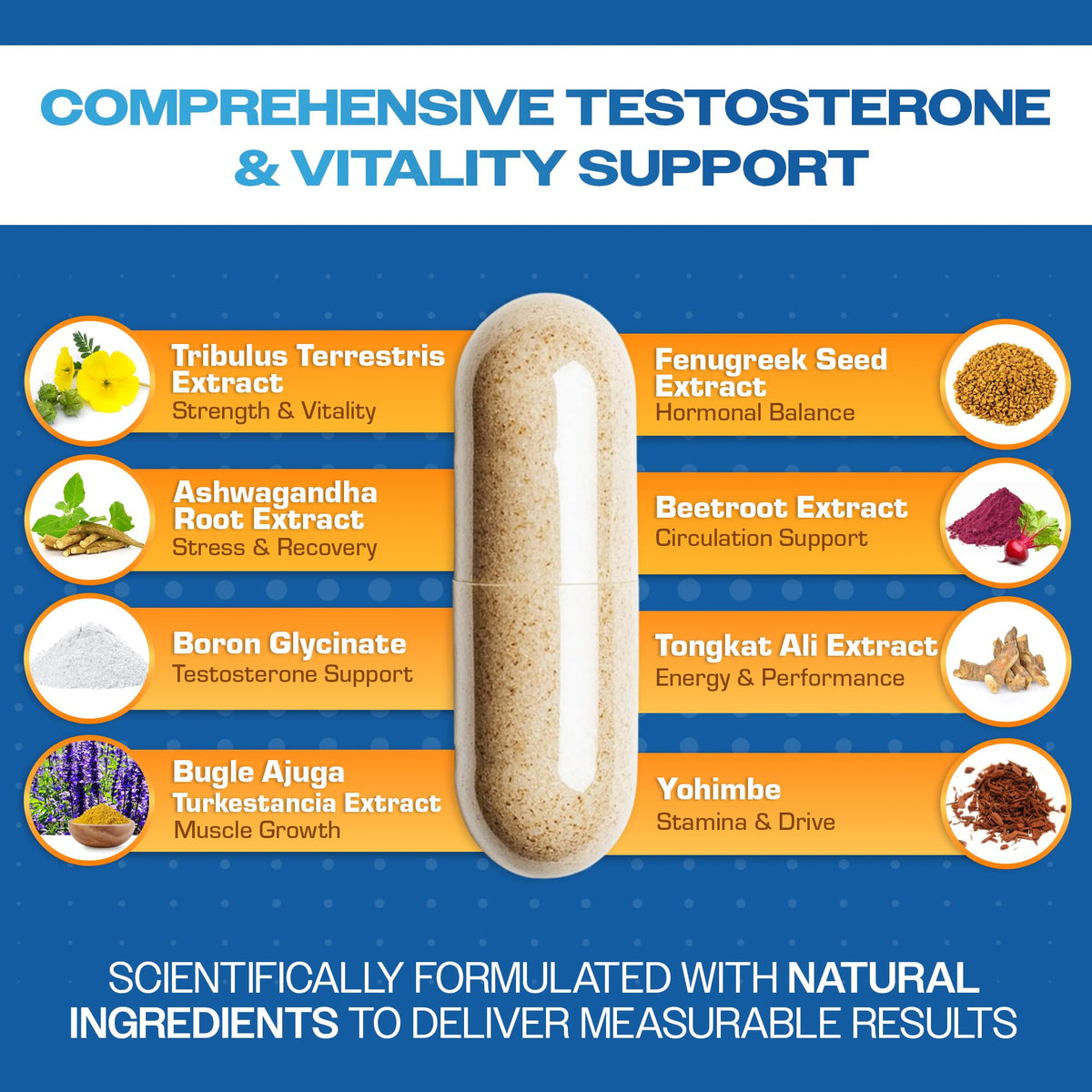 14-in-1 Testosterone Booster for Men - Ashwagandha, Tongkat Ali, Tribulus & Fenugreek - Energy, Drive & Confidence Support - Simply Elevated Alpha-GT (2500mg)