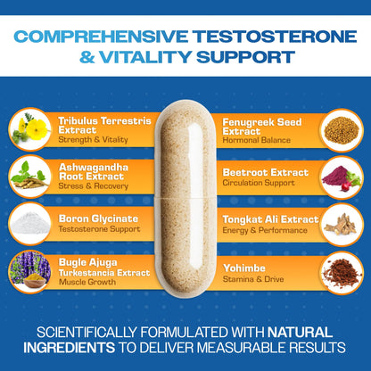 14-in-1 Testosterone Booster for Men - Ashwagandha, Tongkat Ali, Tribulus & Fenugreek - Energy, Drive & Confidence Support - Simply Elevated Alpha-GT (2500mg)