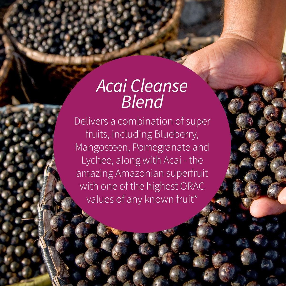 Applied Nutrition 14-Day Acai Berry Cleanse - 56 Tablets, Pack of 3 - Weight-Loss Support Flush + Milk Thistle - 84 Total Servings