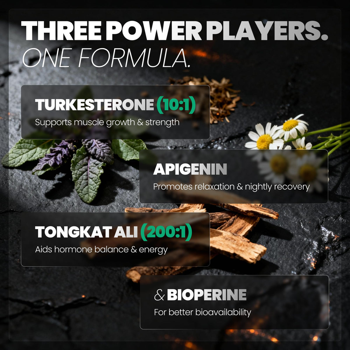 Turkesterone 500mg & Tongkat Ali 500mg for Men - Muscle Growth, Stamina & Performance Support with Apigenin & BioPerine - 60 Capsules (Made in USA)