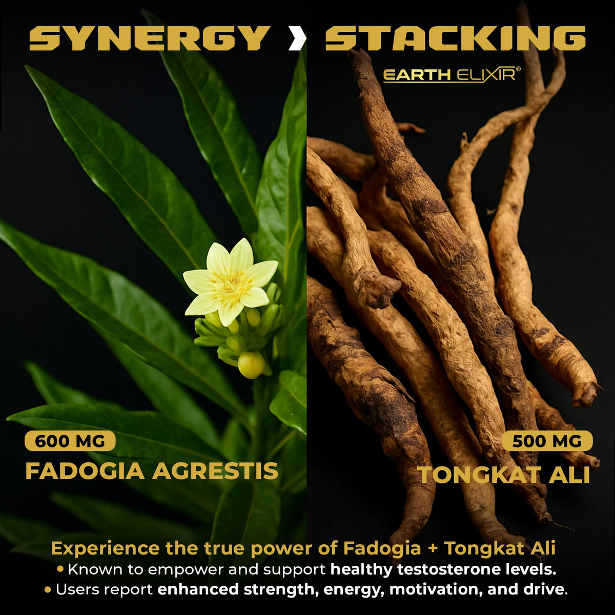 Fadogia Agrestis & Tongkat Ali Supplement for Men & Women - Energy, Strength & Vitality Support - USA Made, 3rd Party Tested (3 Month Supply)