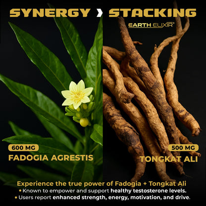 Fadogia Agrestis & Tongkat Ali Supplement for Men & Women - Energy, Strength & Vitality Support - USA Made, 3rd Party Tested (3 Month Supply)