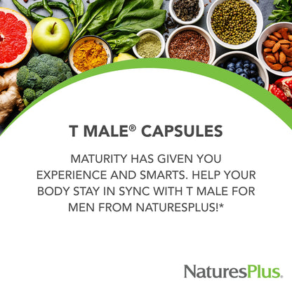 NaturesPlus T-Male Testosterone Support for Men - Ginseng, Rhodiola & FuranoMax 3 Pack (90 Servings)