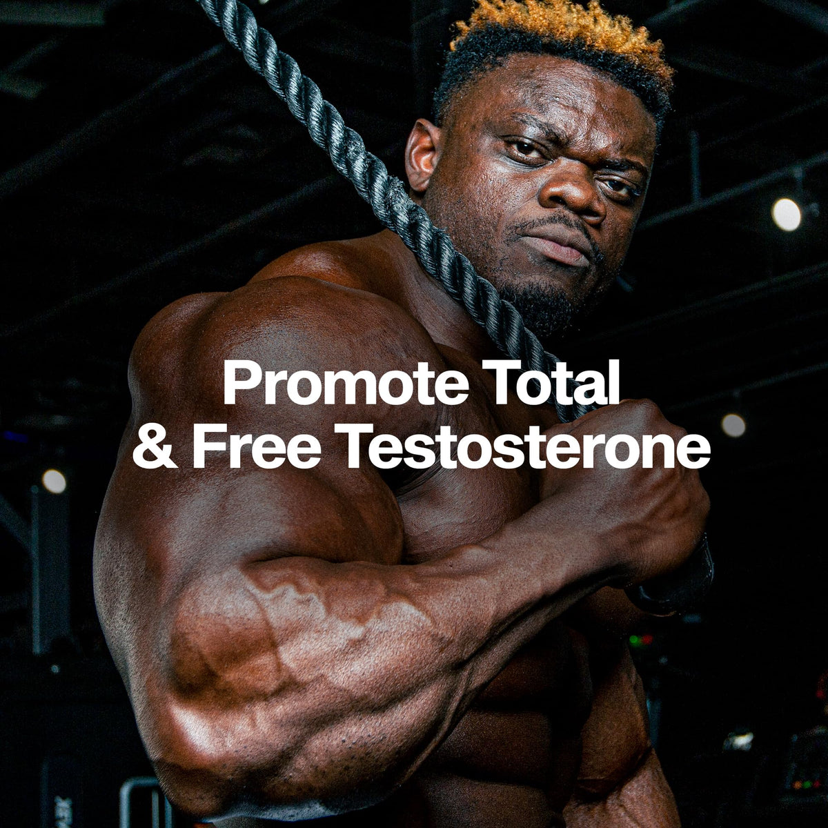 Testosterone Booster for Men - Strength, Endurance & Muscle Growth Support Supplement - MuscleTech AlphaTest (150 Capsules)