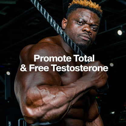 Testosterone Booster for Men - Strength, Endurance & Muscle Growth Support Supplement - MuscleTech AlphaTest (150 Capsules)