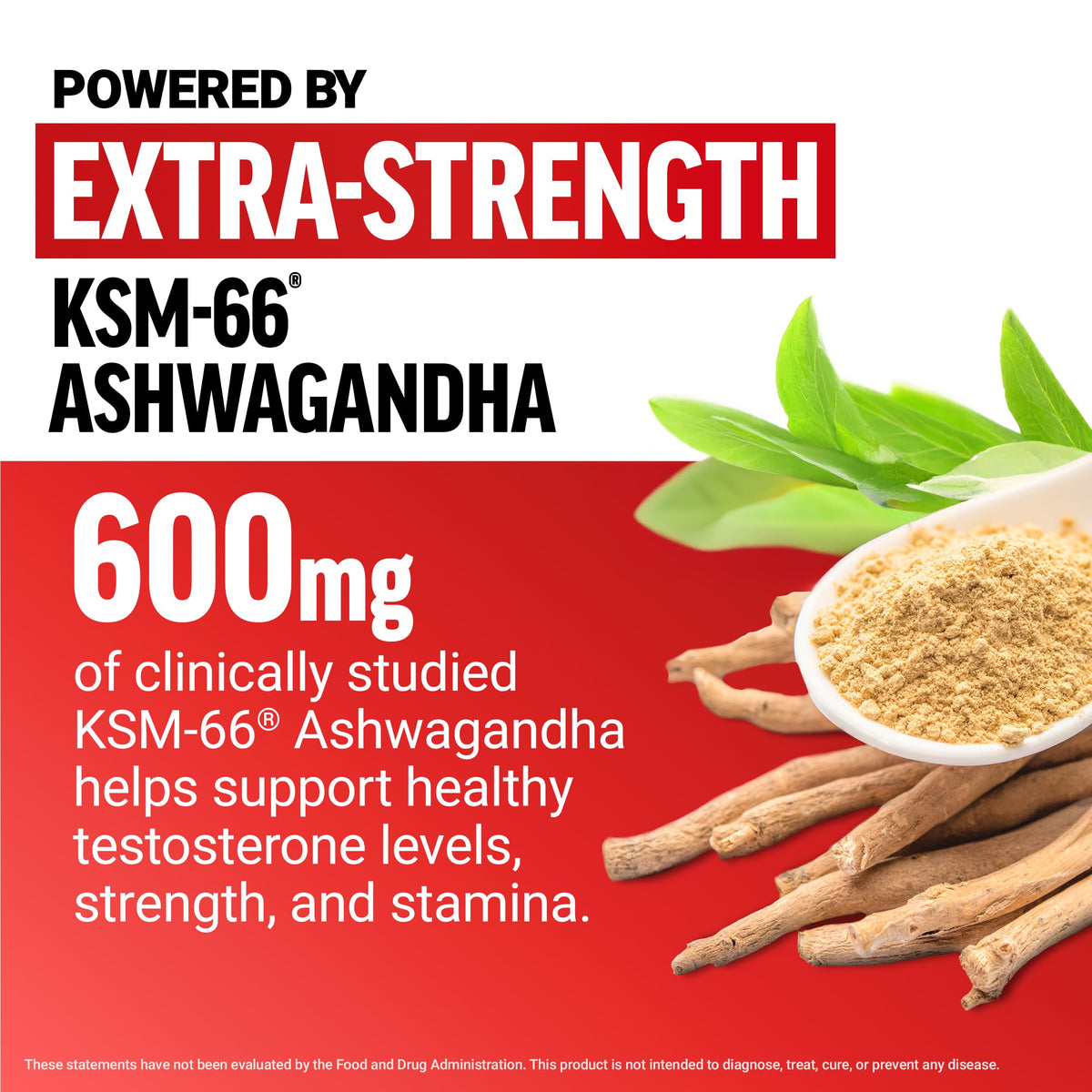 Force Factor Test X180 Testosterone Support for Men - KSM-66 Ashwagandha, Boron, Vitamin D & Zinc - Performance & Testosterone Support (Berry Blast, 60 Soft Chews)